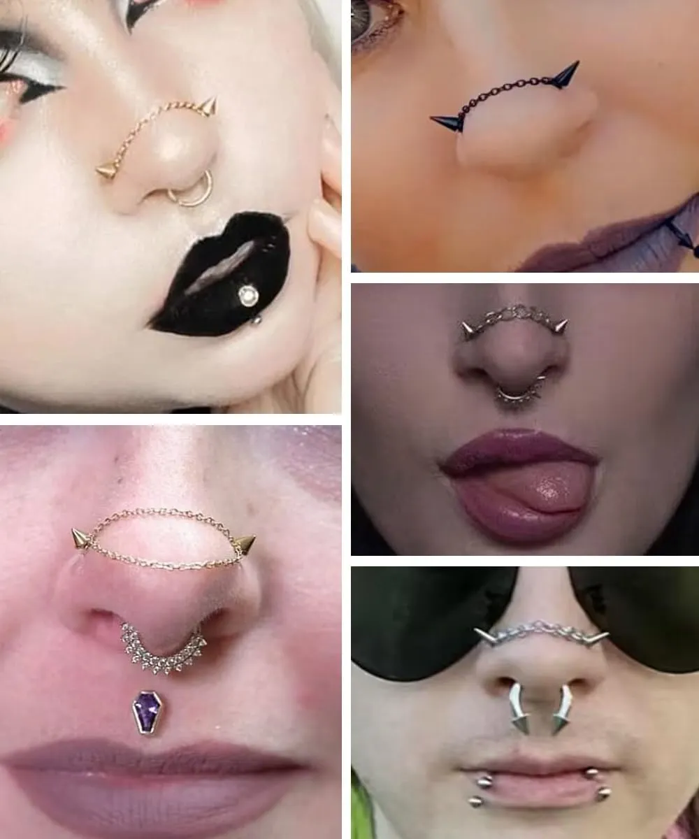 22Pcs 20G Surgical Steel Nose Ring Chain Nose Ring Stud for Women Men Double Nose Chain Piercing Across Nose Spike Ball CZ Nose Studs Nostril Piercing Jewelry