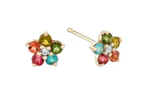 Ariel Gordon Jewelry Tourmaline And Diamond Aurora Studs
