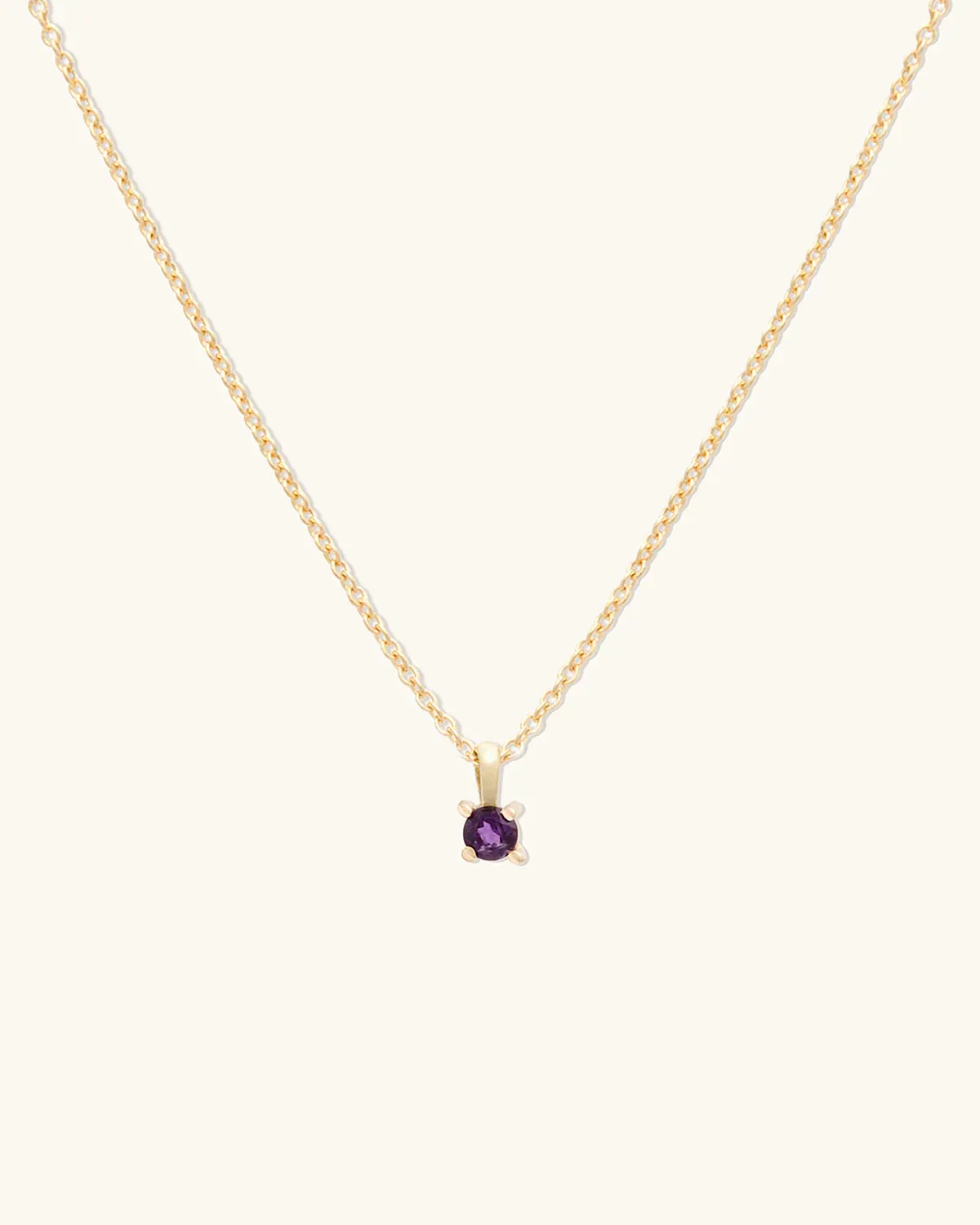 Birthstone Necklace  February