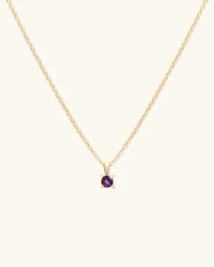 Birthstone Necklace  February