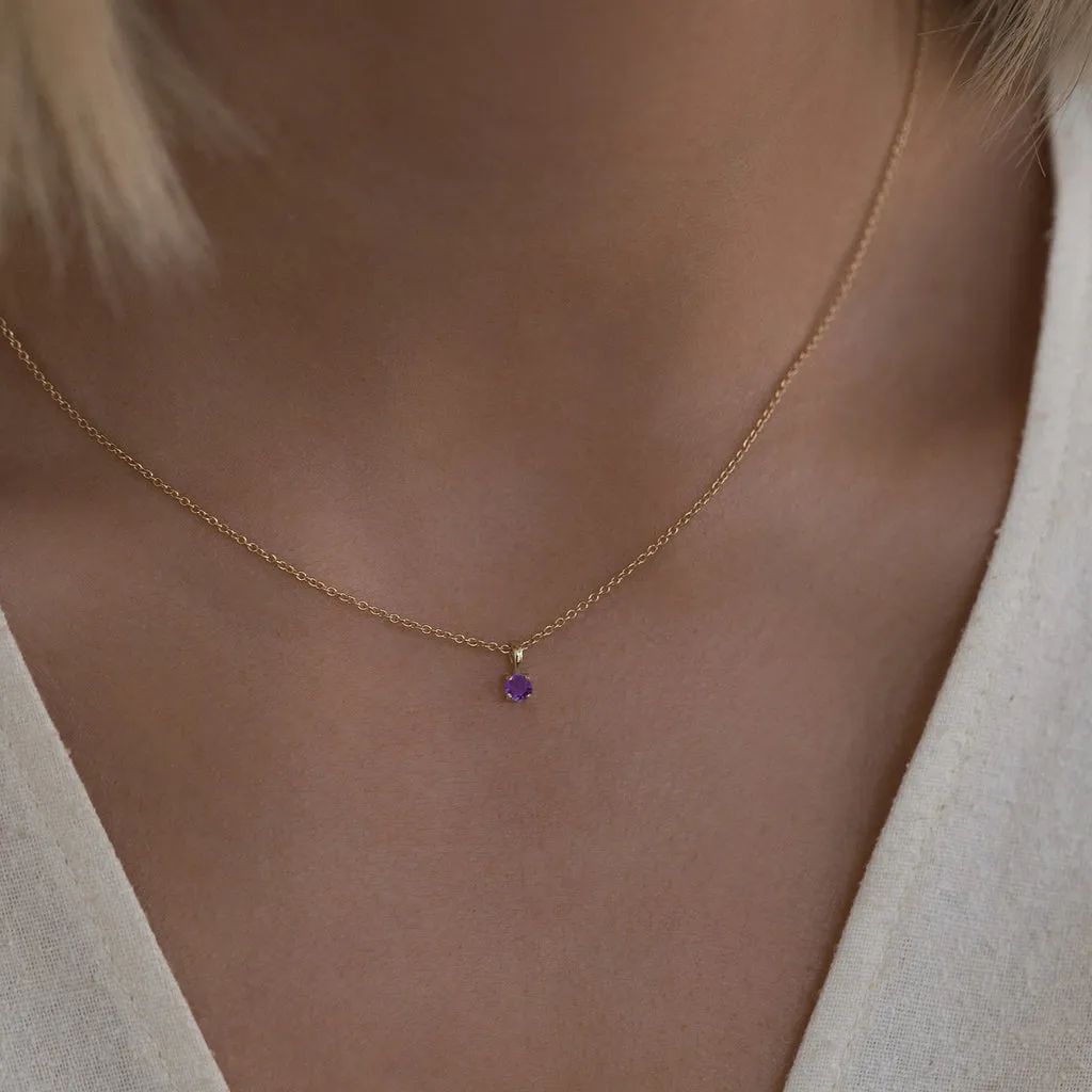 Birthstone Necklace  February