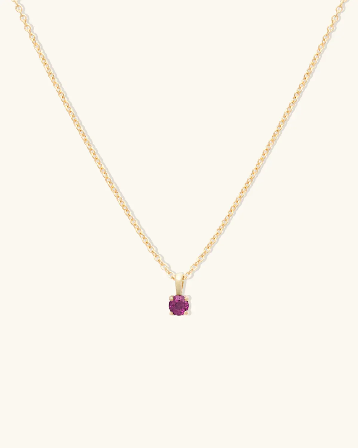 Birthstone Necklace  January