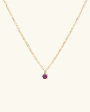 Birthstone Necklace  January