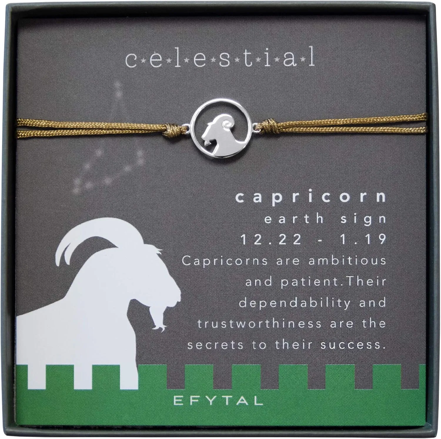 EFYTAL Best Friend Birthday Gifts, 925 Sterling Silver Cutout Capricorn Bracelet, Zodiac Symbol Bracelets, Star Sign Friendship Gift for Bridesmaids, Bridal Party Friend Group Jewelry