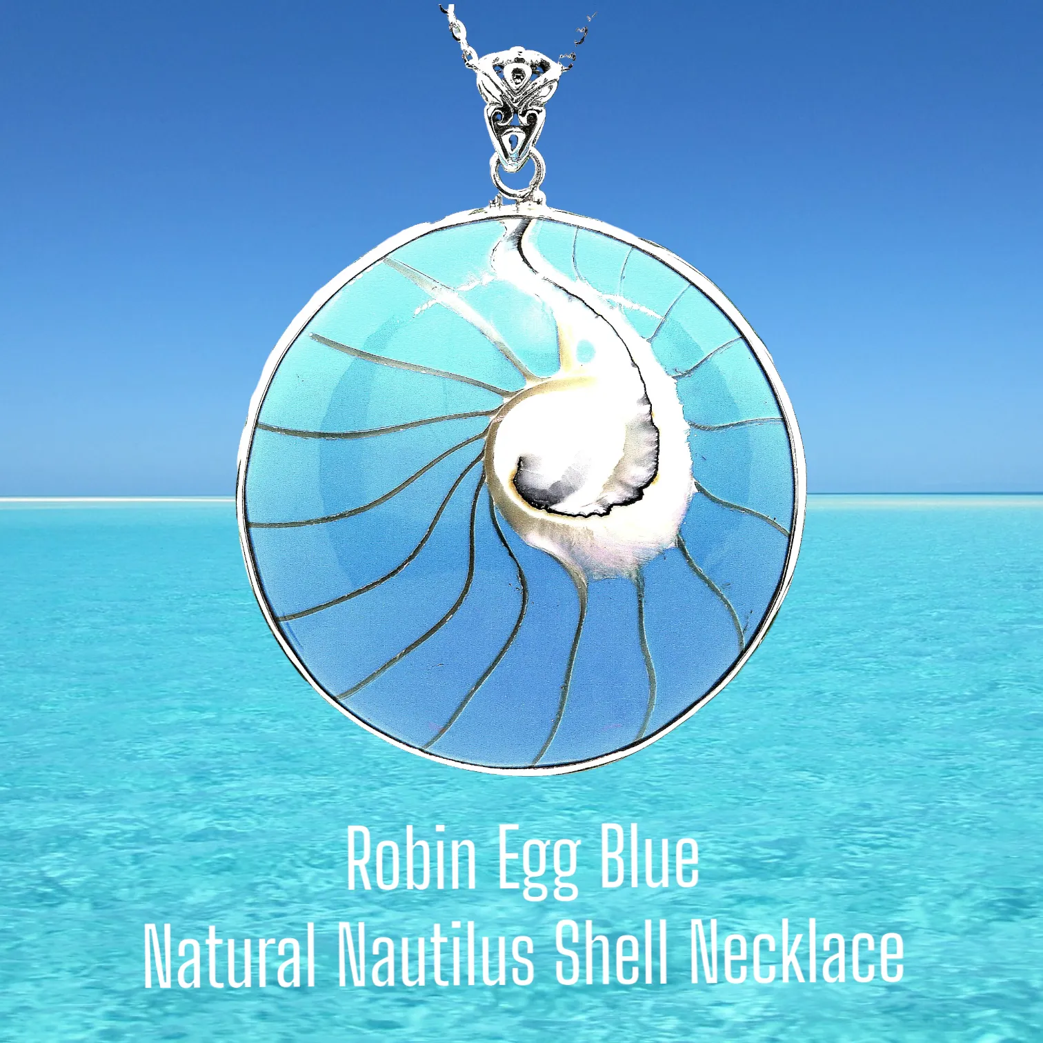 Robin Egg Blue Natural Nautilus Shell Necklace